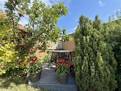 Picture 22